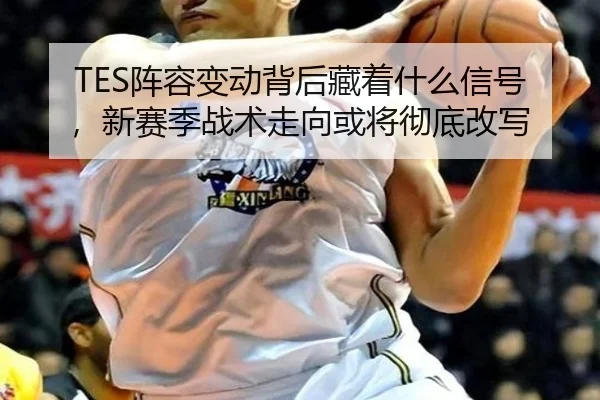 TES阵容变动背后藏着什么信号，新赛季战术走向或将彻底改写